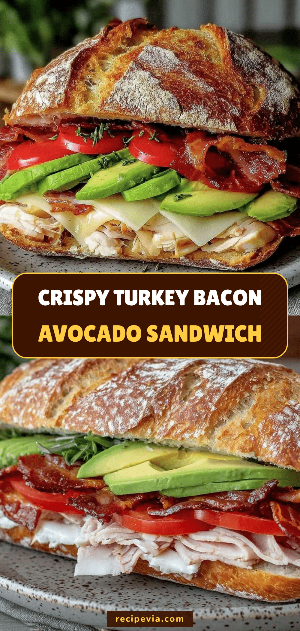 turkey bacon avocado sandwich recipe